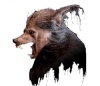 Customized Halloween Wolf Mask